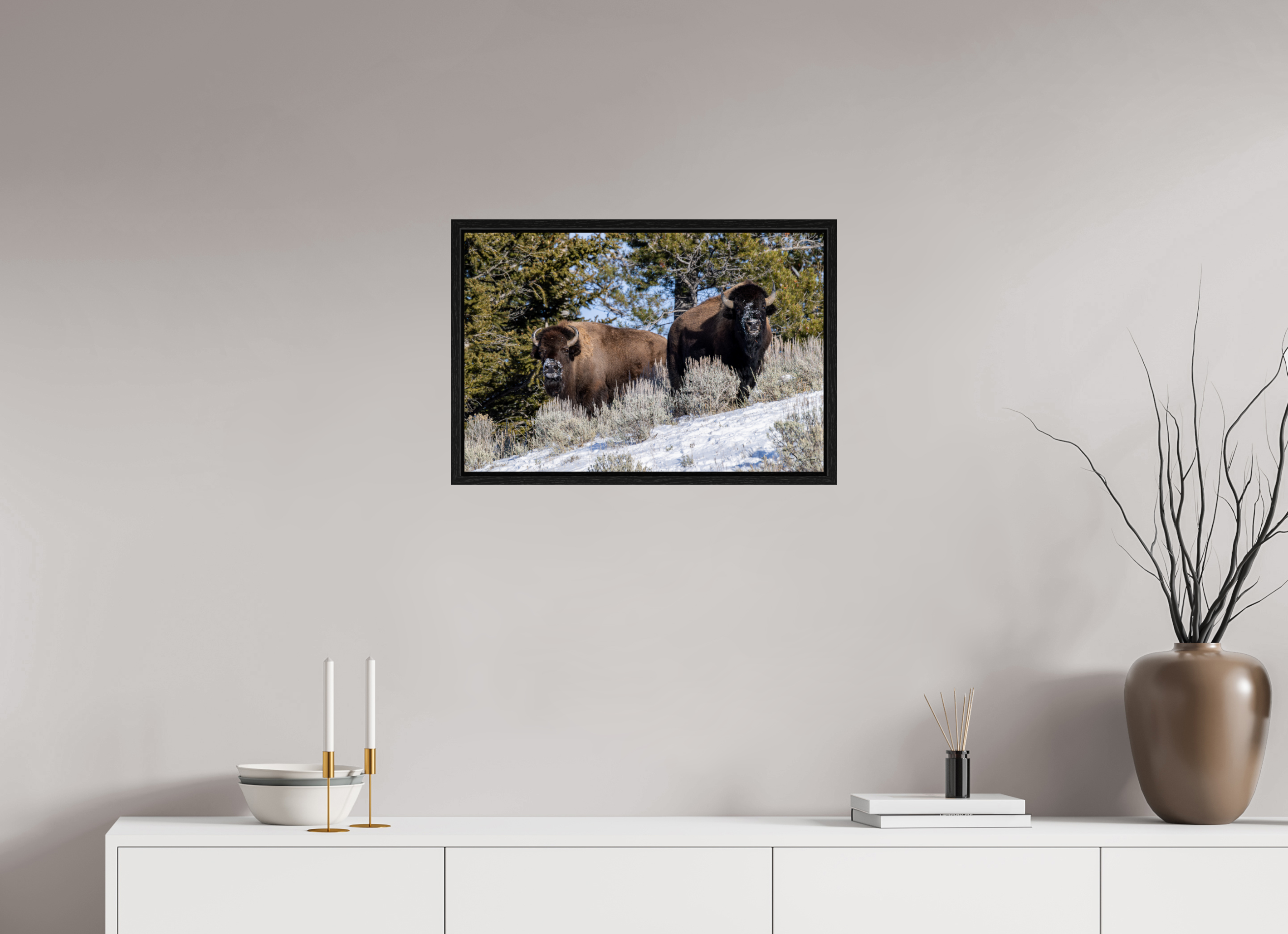 24 x 16″, Floater Frame Bison