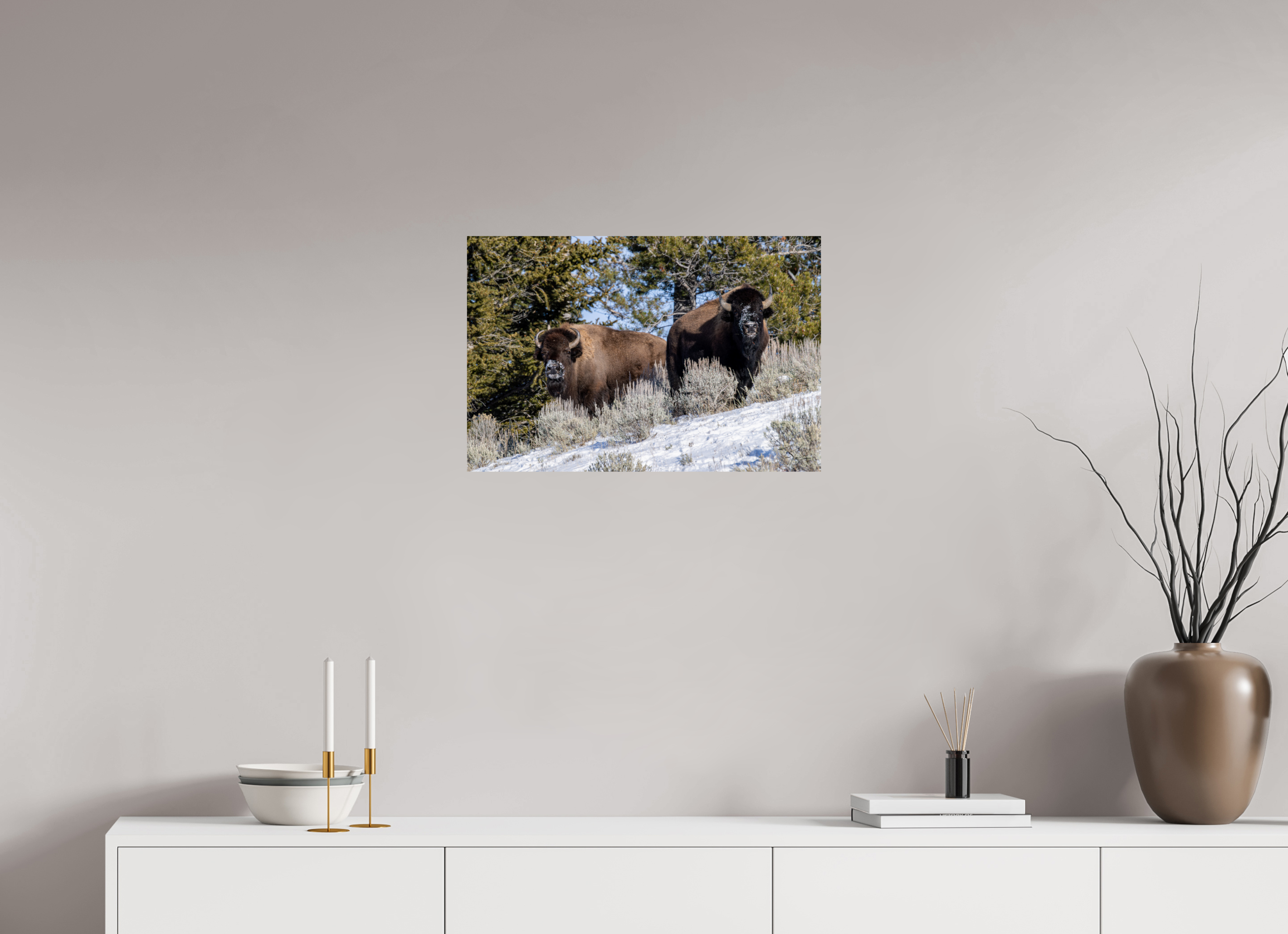 24 x 16″, Photo Print On Fuji Crystal DP II Bison