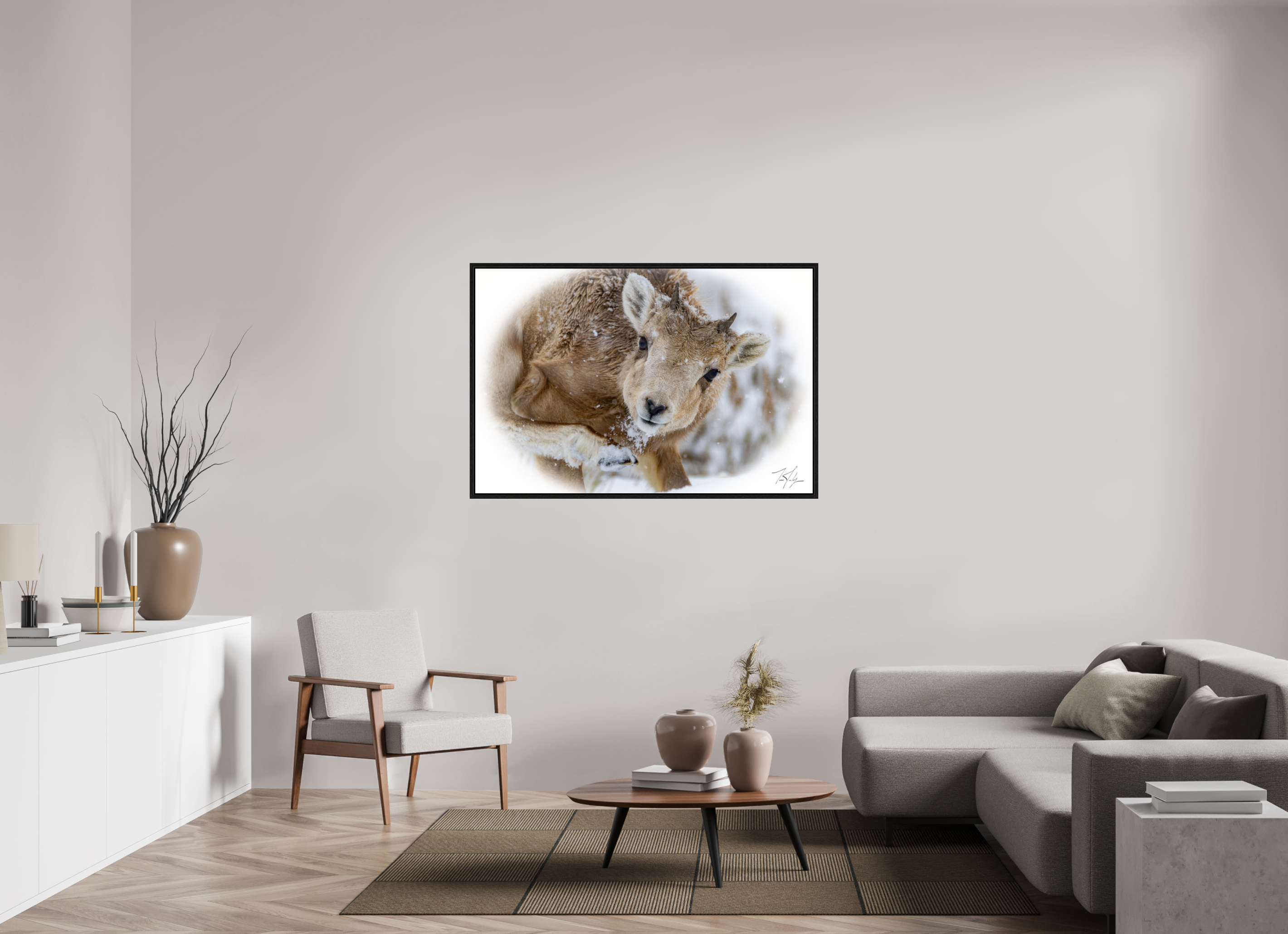 54 x 36″, Floater Frame Bighorn Lamb