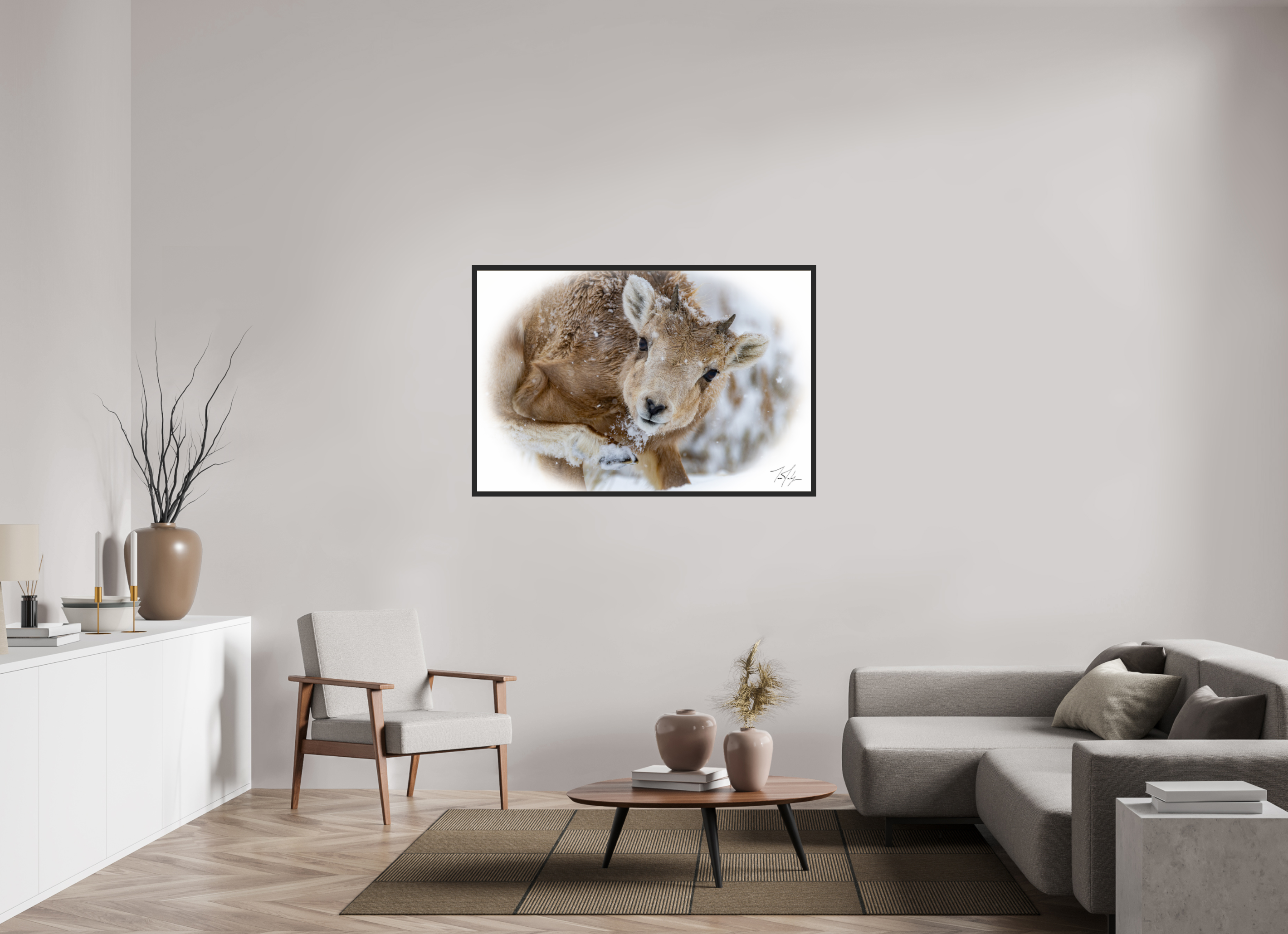54 x 36″, Frame Black gloss without border Bighorn Lamb