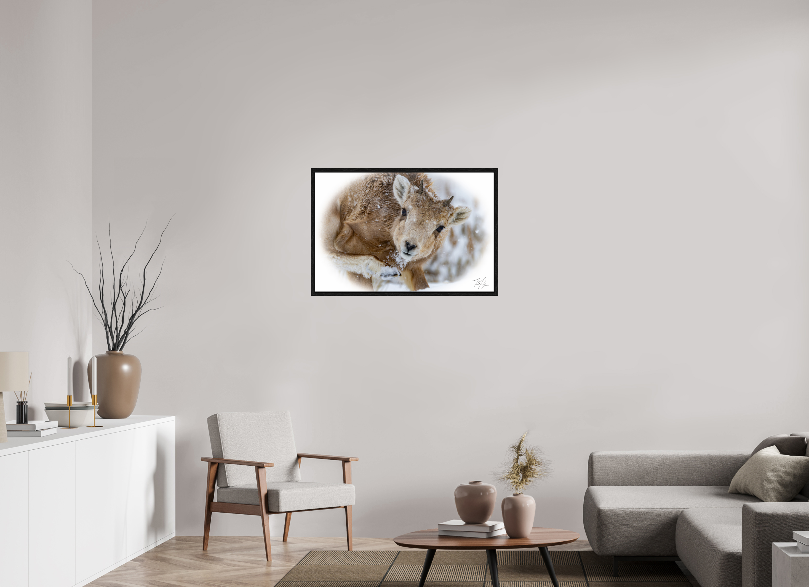 36 x 24″, Floater Frame Bighorn Lamb