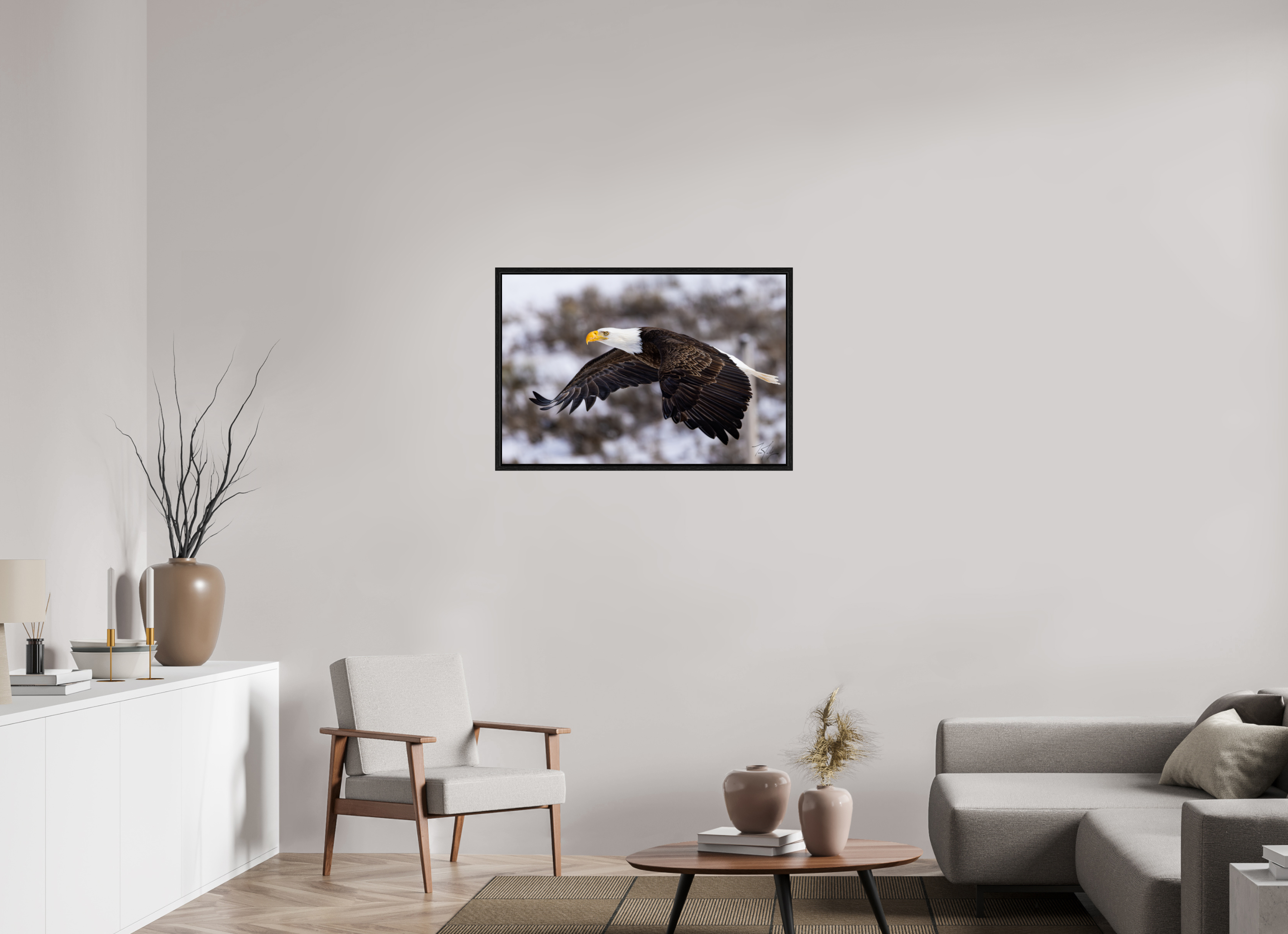 36 x 24″, Floater Frame Bald Eagle in Flight