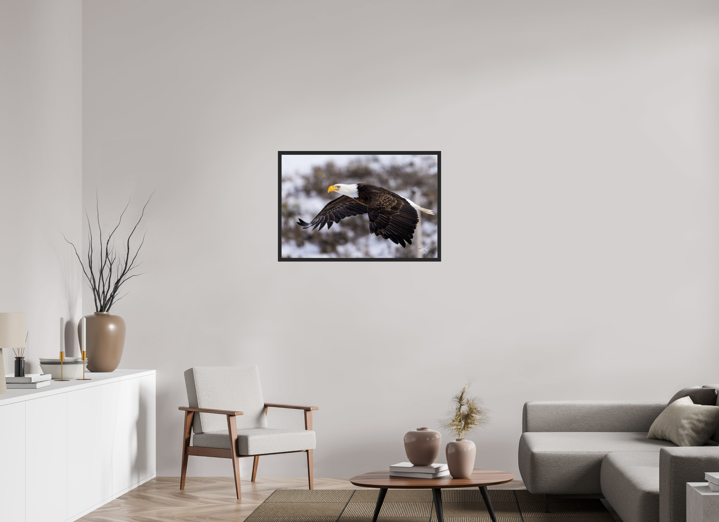 36 x 24″, Frame Black gloss wo border Bald Eagle in Flight