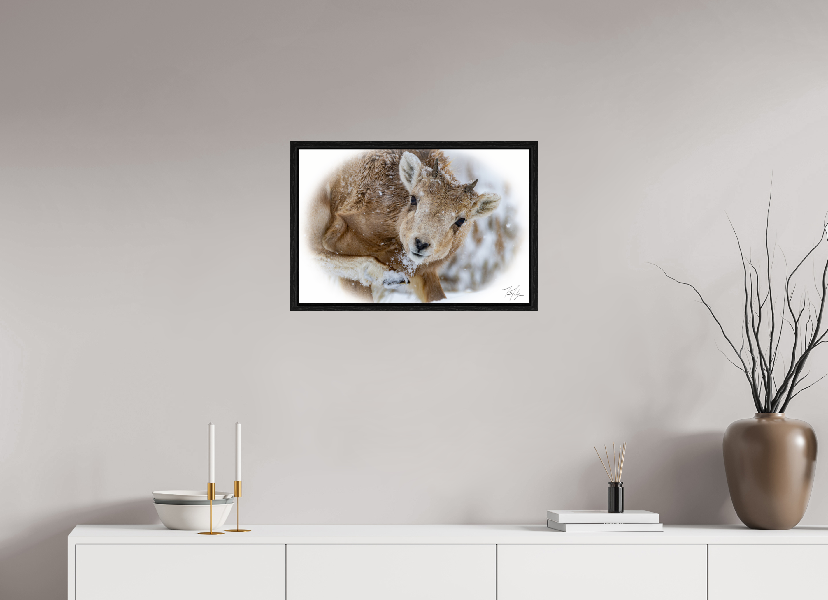 24 x 16″, Floater Frame Bighorn Lamb