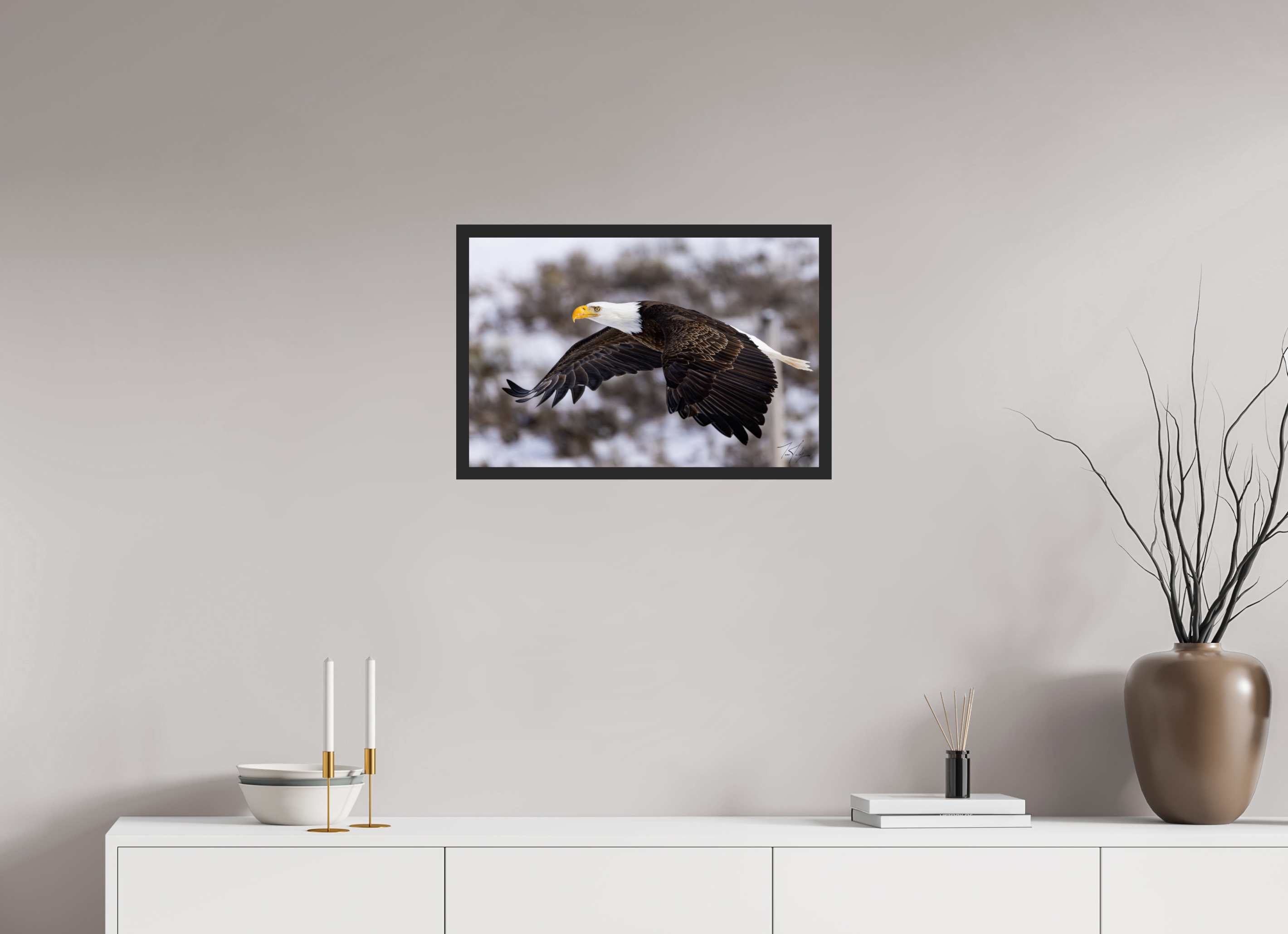 24 x 16″, Frame Black gloss wo border Bald Eagle in Flight