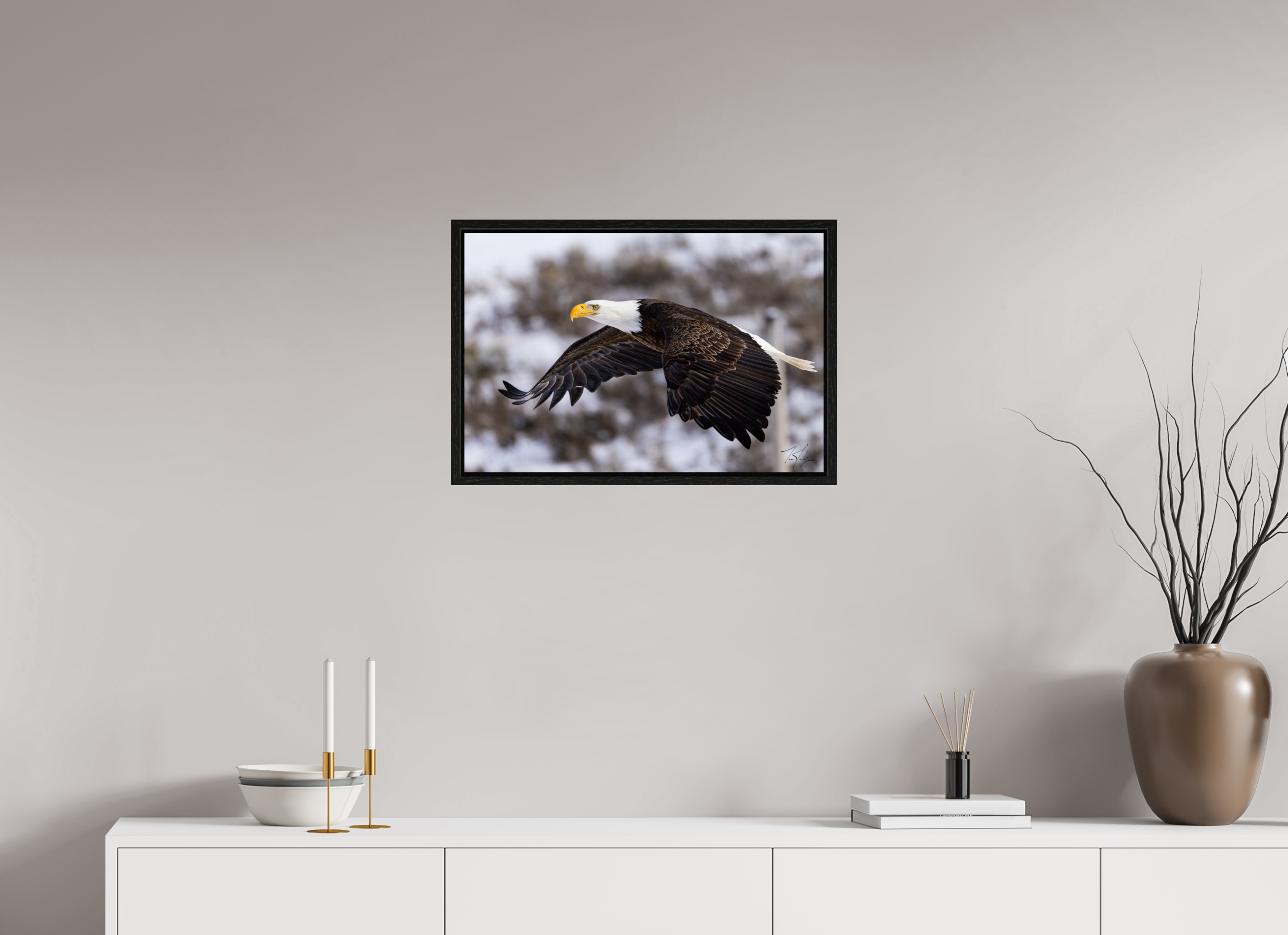 24 x 16″, Floater Frame Bald Eagle in Flight
