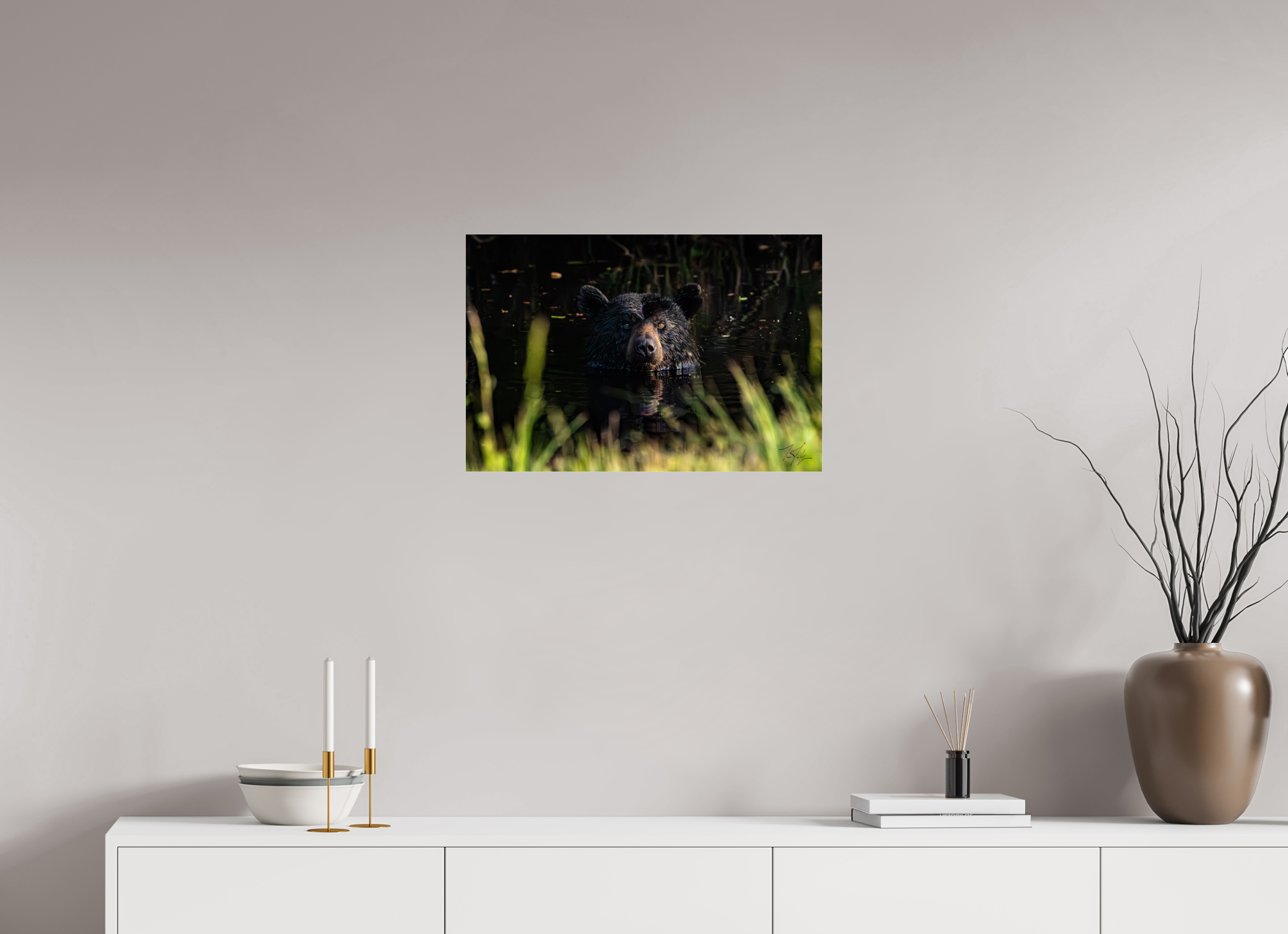 24 x 16″, Photo Print Under Acrylic Glass Bear Bath