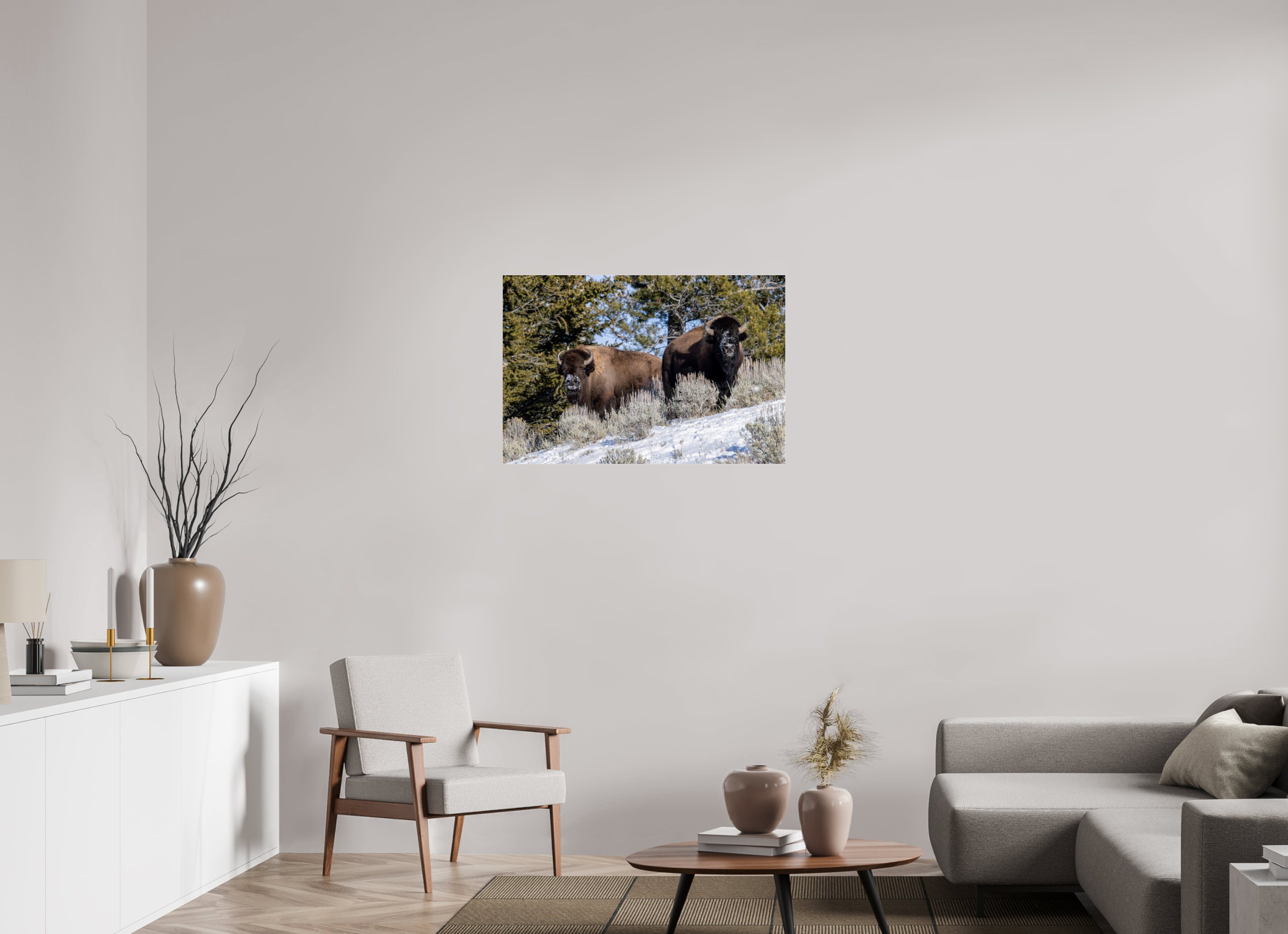 36 x 24″, Photo Print Under Acrylic Glass Bison