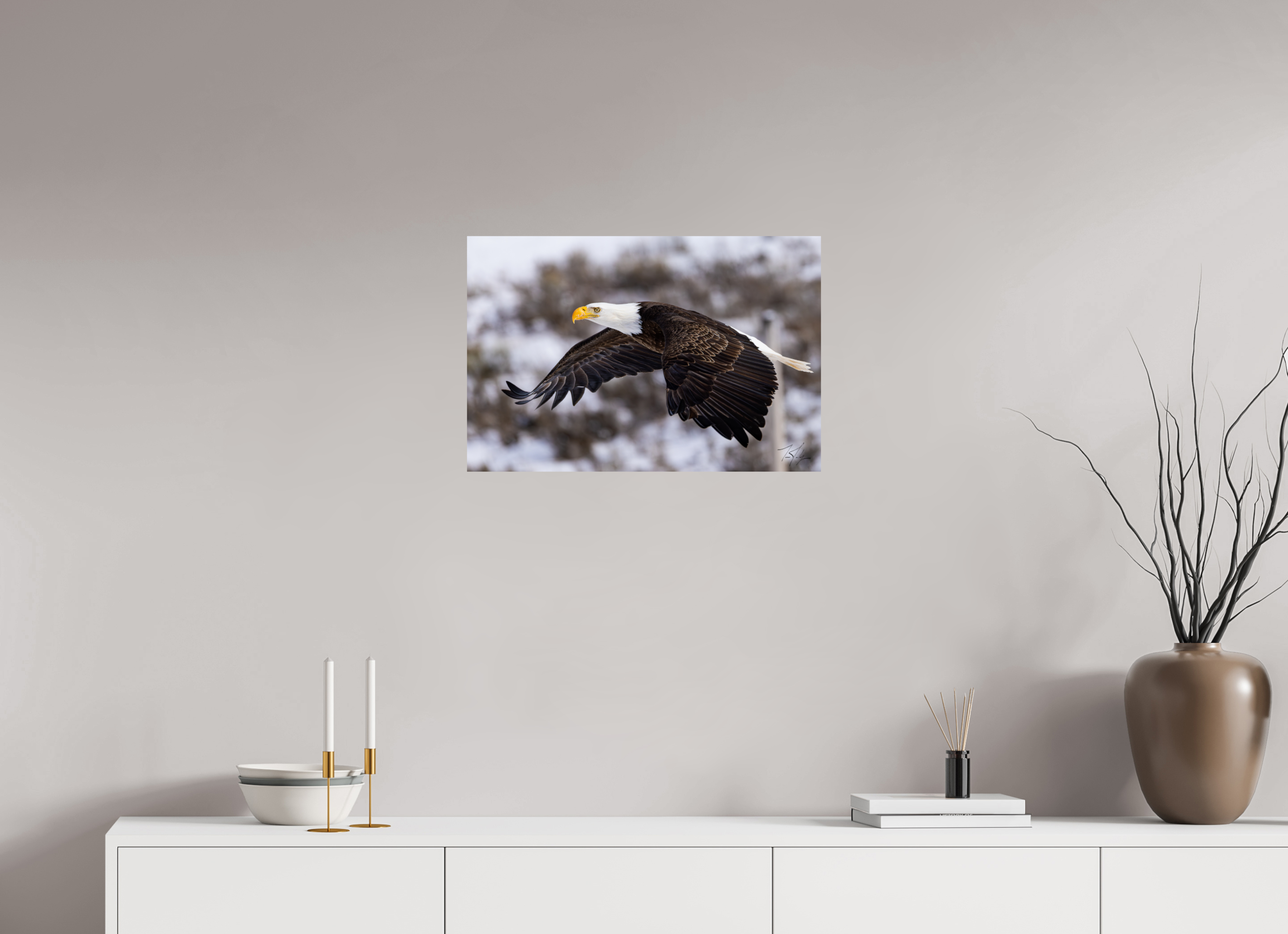 24 x 16″, Photo Print On Fuji Crystal DP II Bald Eagle in Flight
