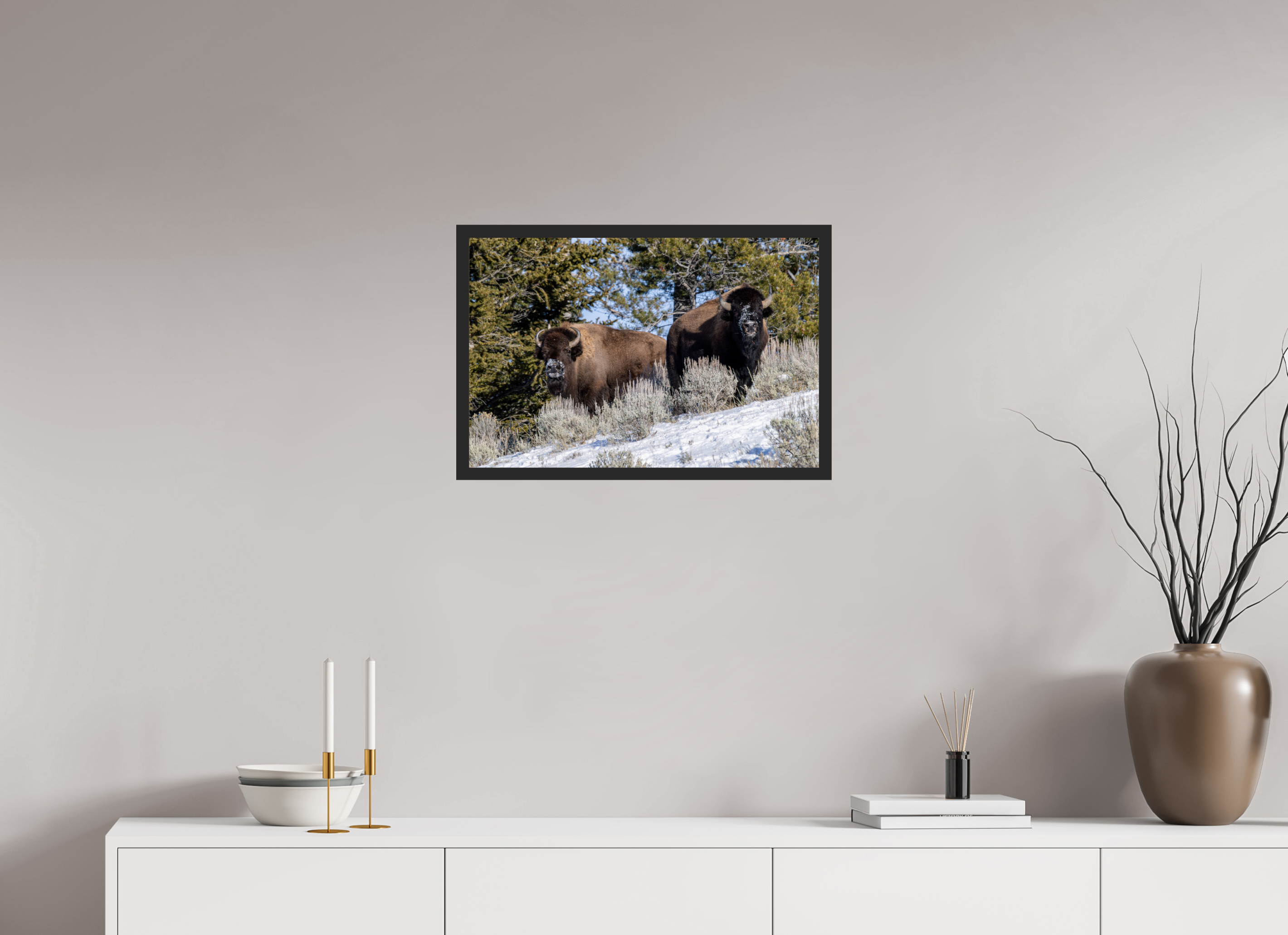 24 x 16″, Frame Black gloss without border Bison