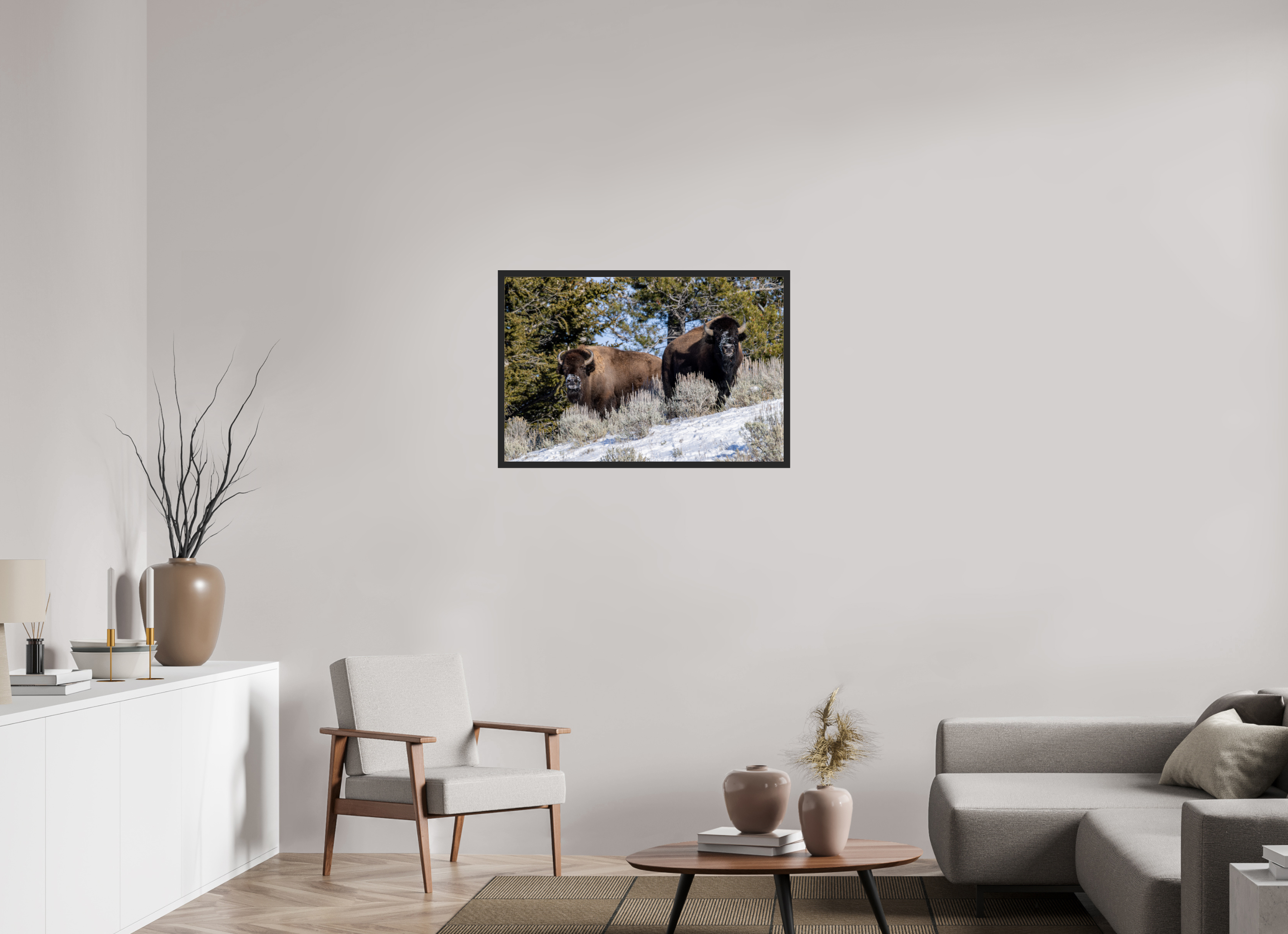 36 x 24″, Frame Black gloss without border Bison