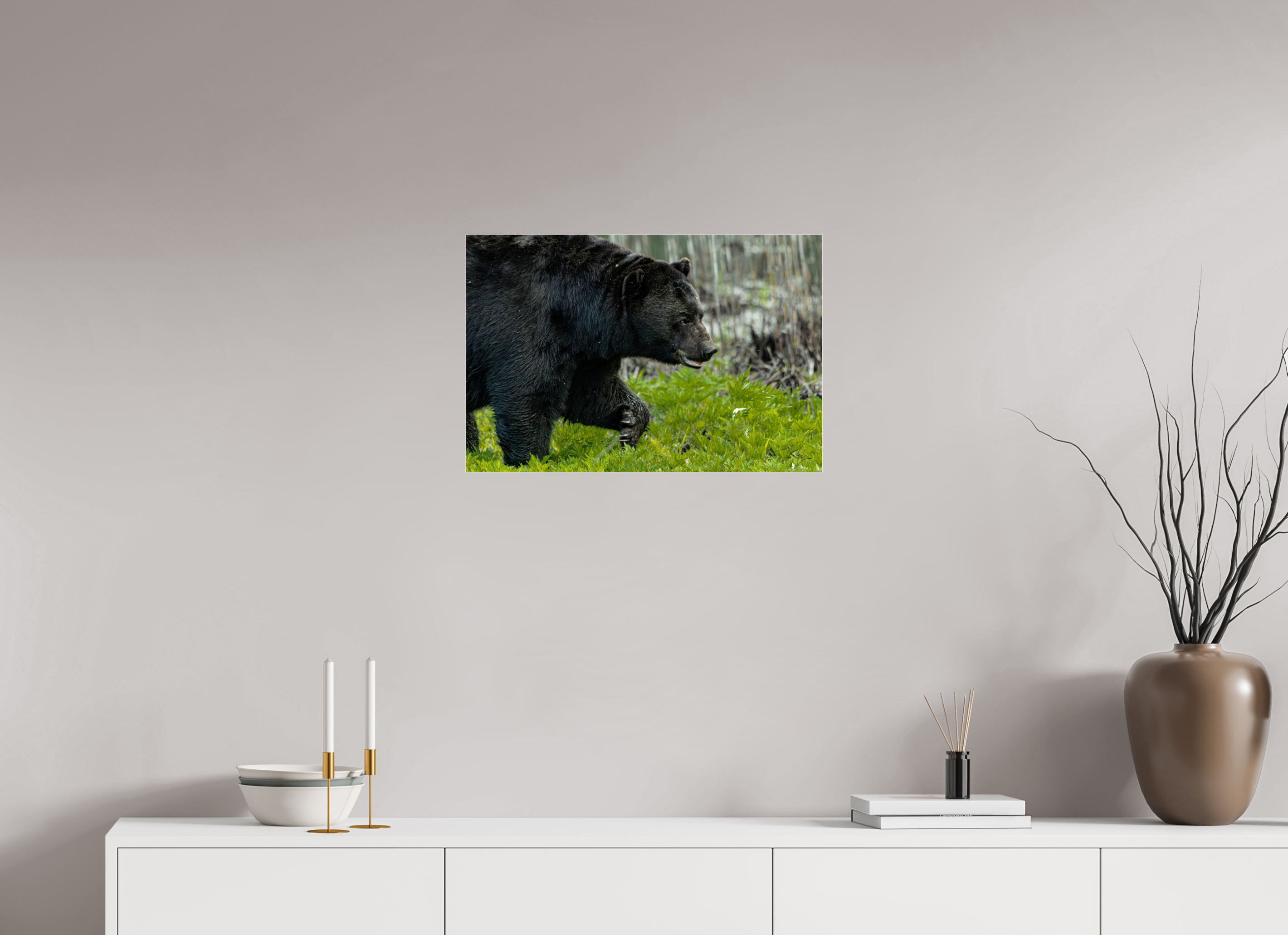 24 x 16″, Photo Print Under Acrylic Glass Black Bear