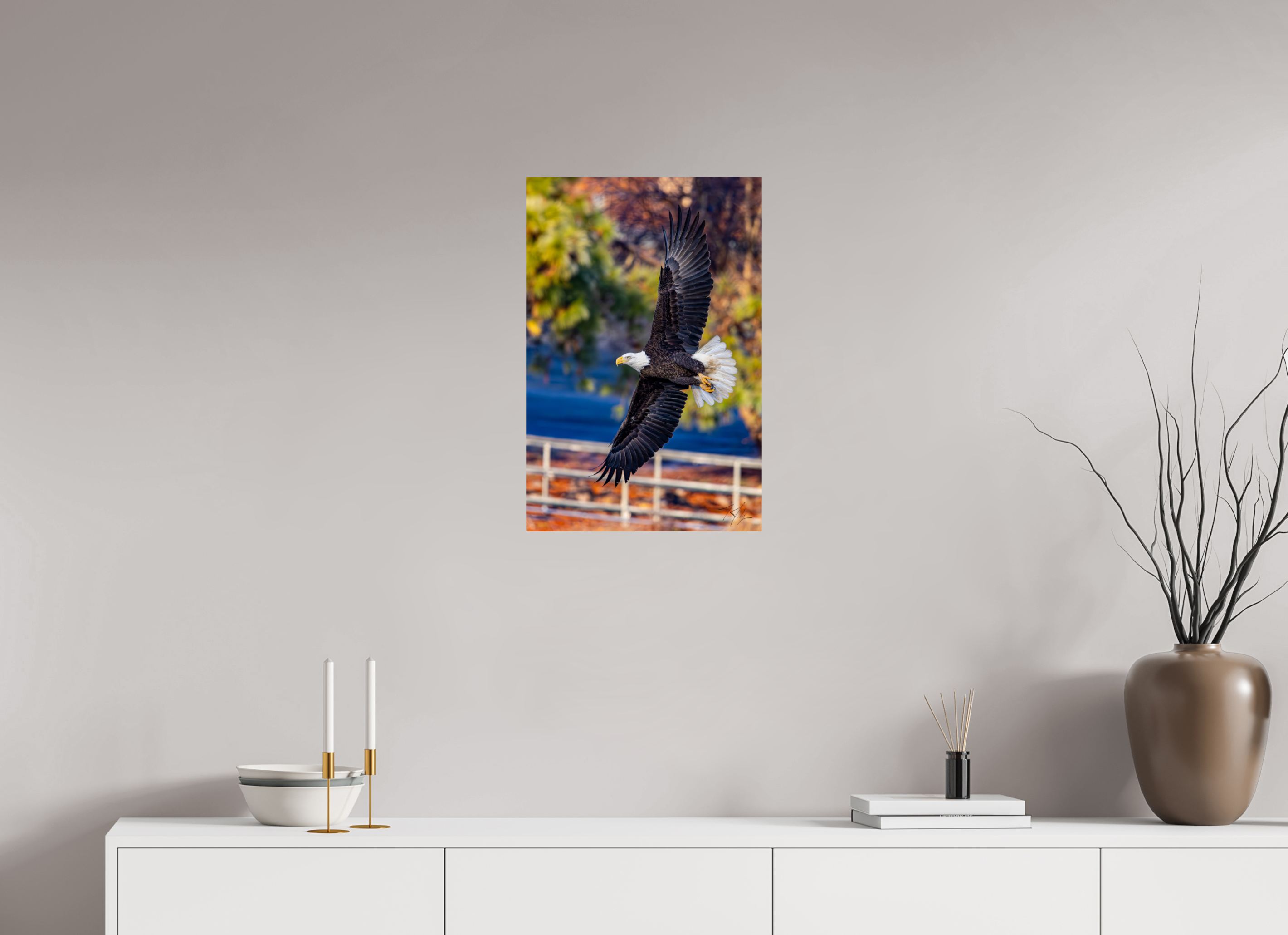 16 x 24″, Photo Print On Fuji Crystal DP II Bald Eagle