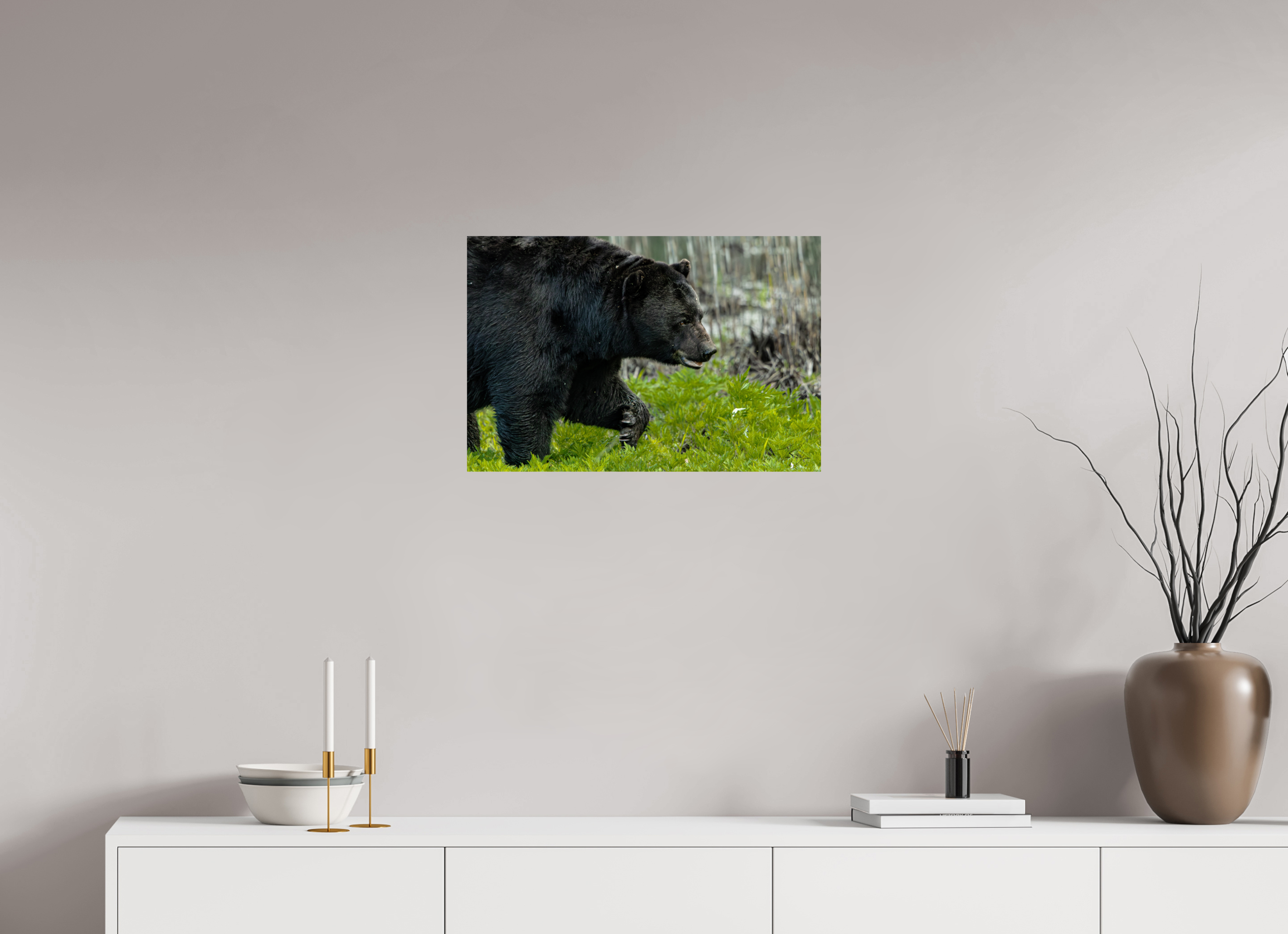 24 x 16″, Photo Print On Fuji Crystal DP II Black Bear