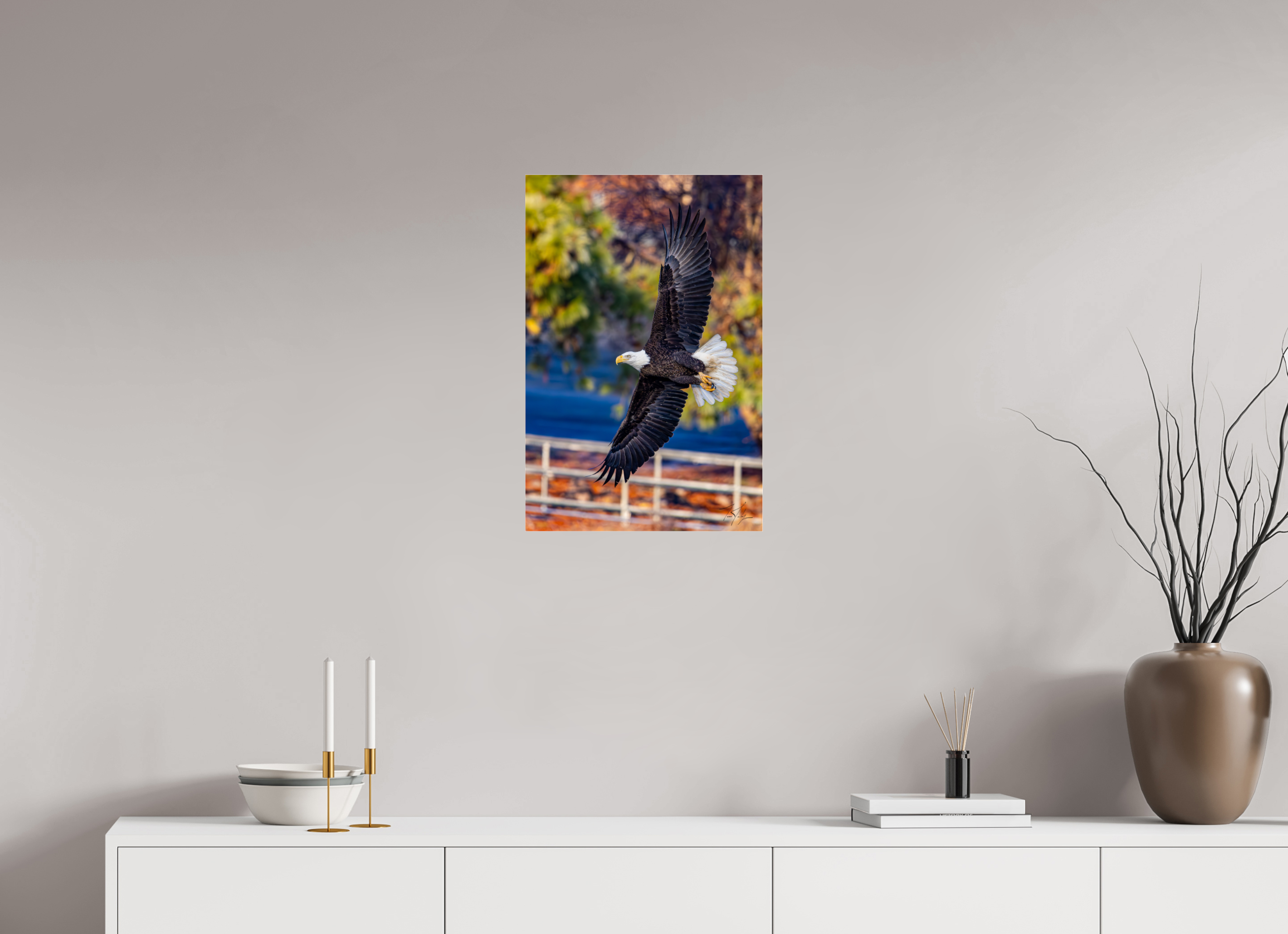 16 x 24″, Photo Print Under Acrylic Glass Bald Eagle