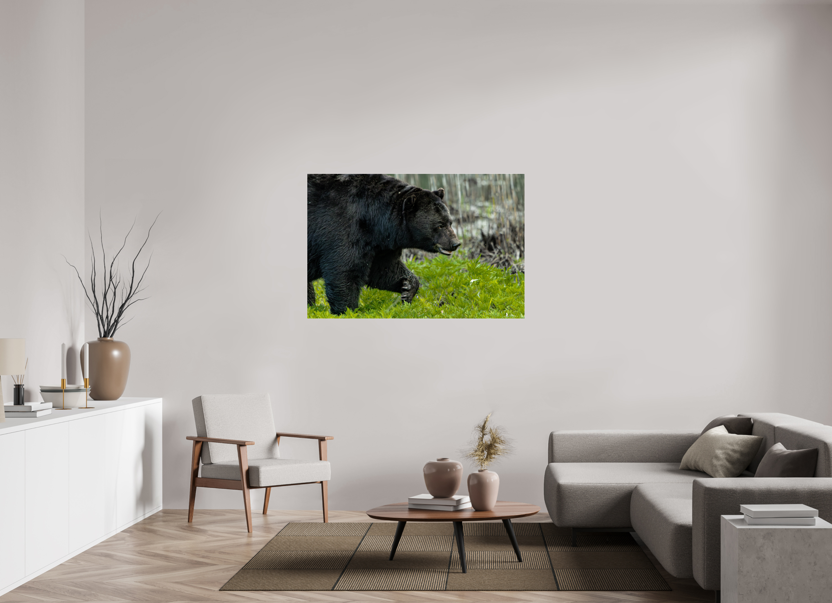 54 x 36″, Photo Print Under Acrylic Glass Black Bear