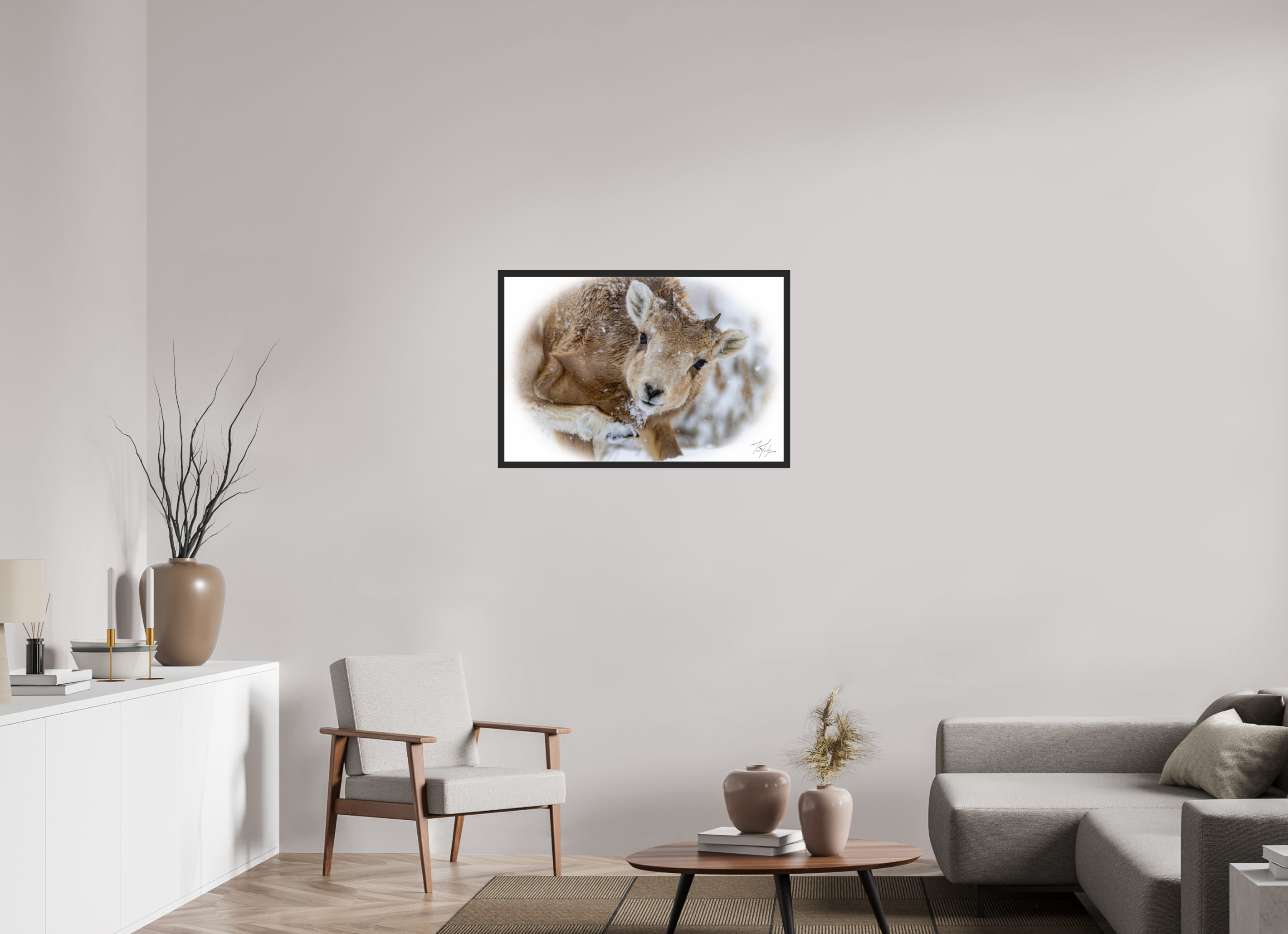 36 x 24″, Frame Black gloss without border Bighorn Lamb